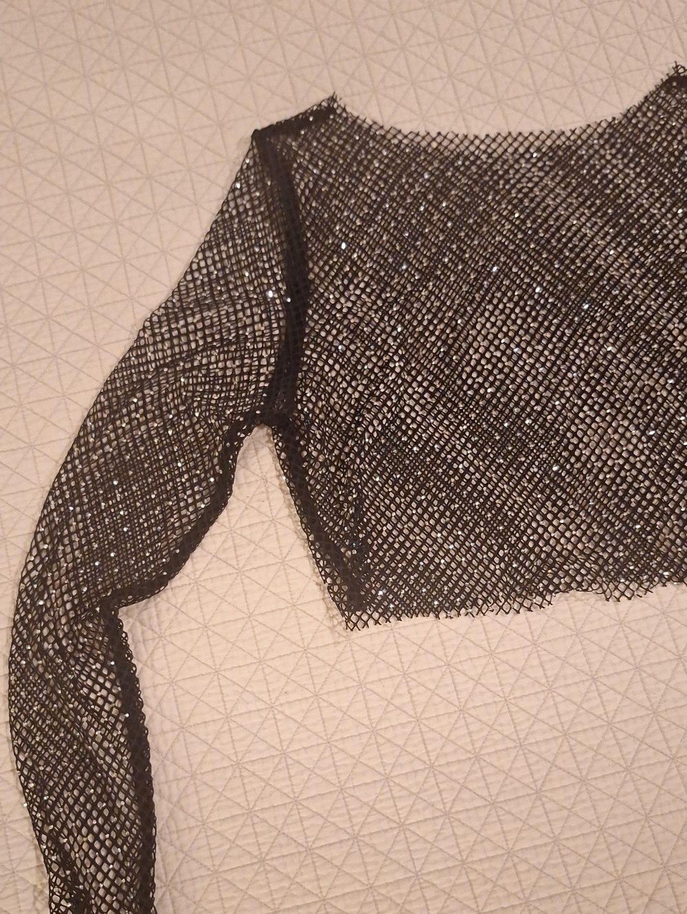 Sheer Black Sparkle Long-Sleeve Crop Top
